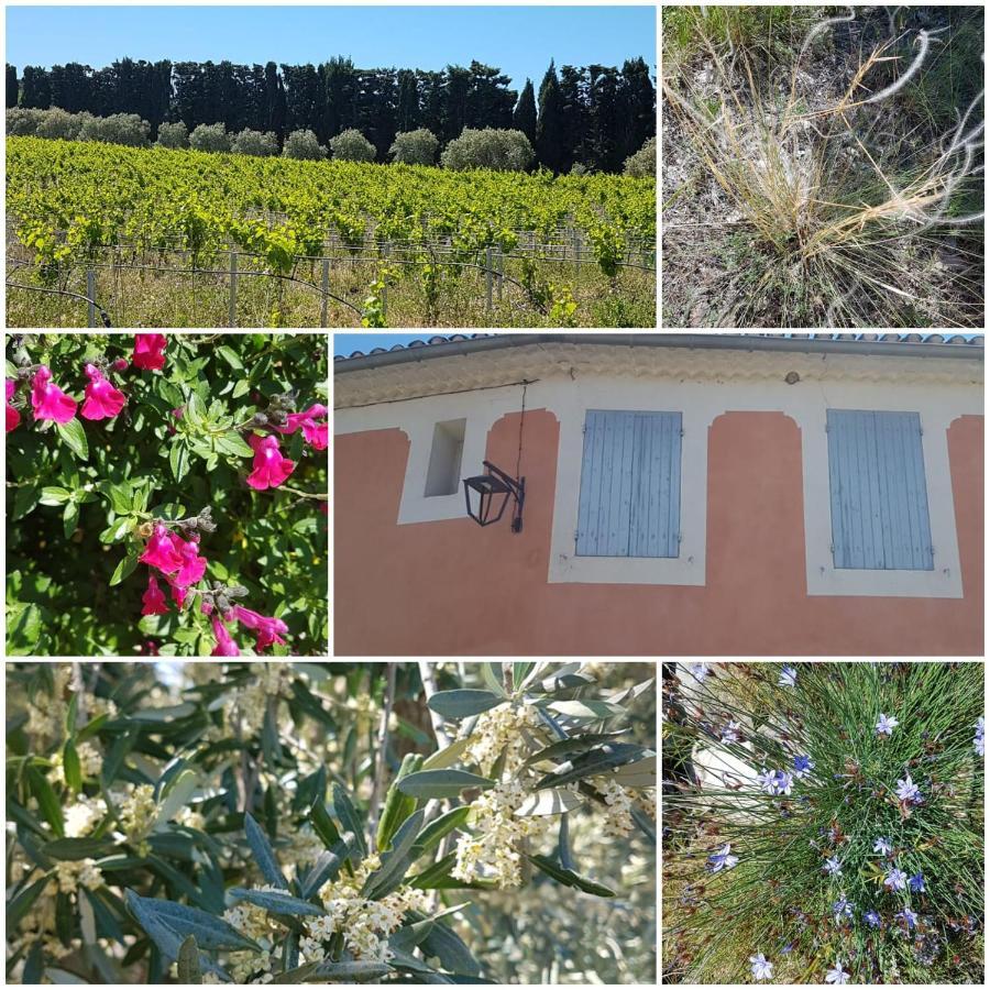 La Cabane Du Pesquier En Provence Caumont-sur-Durance Buitenkant foto